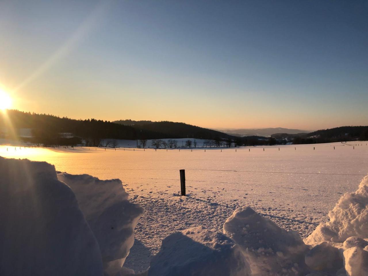 Vila Pasecna - Lipno Přední Výtoň 外观 照片