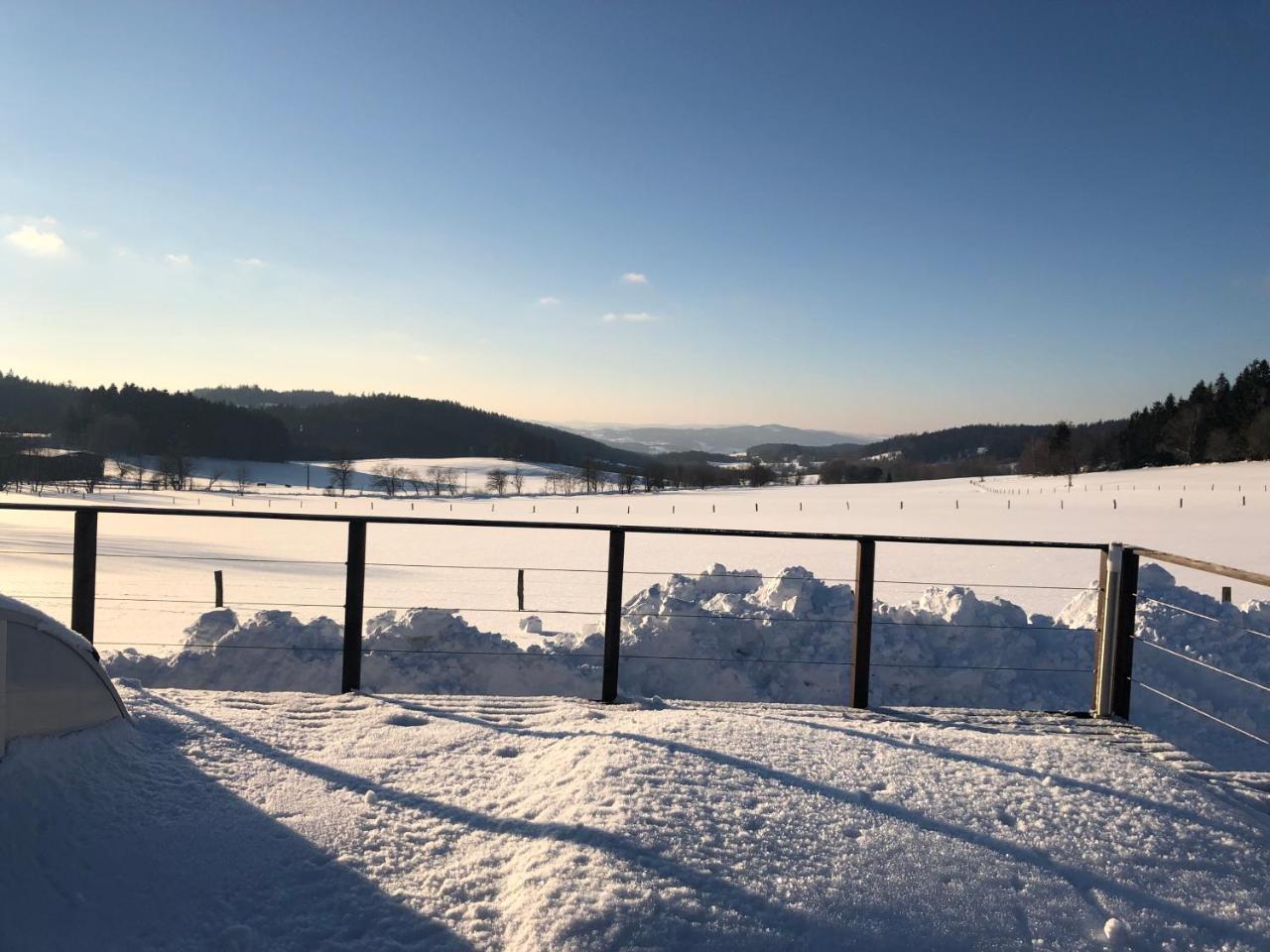 Vila Pasecna - Lipno Přední Výtoň 外观 照片